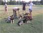 Klub kepek 2014- 0865